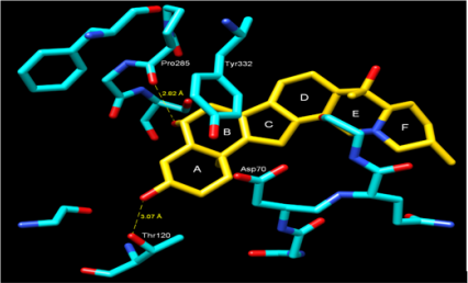 biomedres-openaccess-journal-bjstr