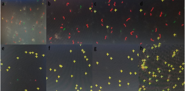 biomedres-openaccess-journal-bjstr