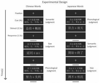 biomedres-openaccess-journal-bjstr