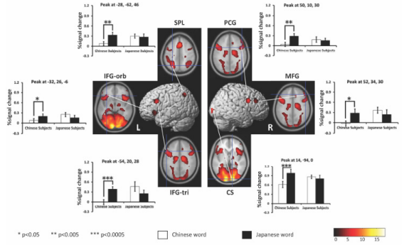 biomedres-openaccess-journal-bjstr