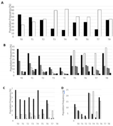 biomedres-openaccess-journal-bjstr