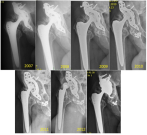 biomedres-openaccess-journal-bjstr