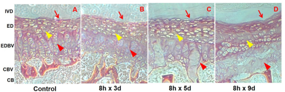 biomedres-openaccess-journal-bjstr