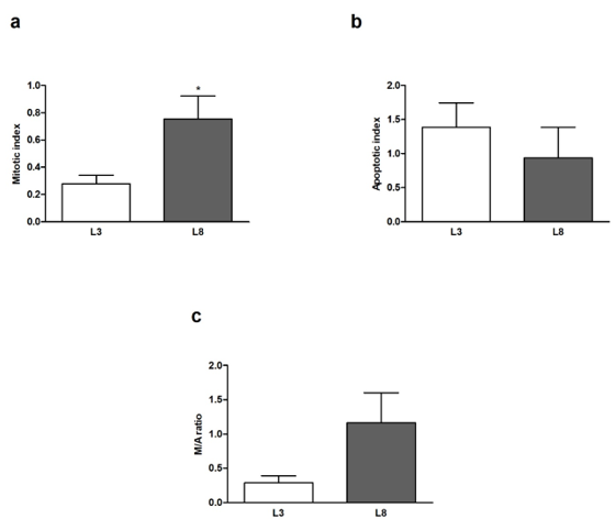 biomedres-openaccess-journal-bjstr