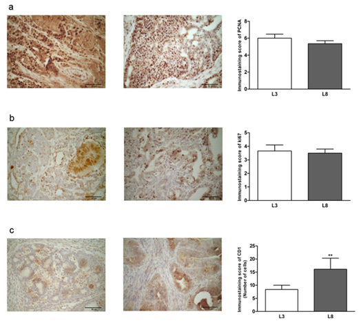 biomedres-openaccess-journal-bjstr
