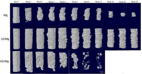 biomedres-openaccess-journal-bjstr