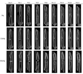 biomedres-openaccess-journal-bjstr