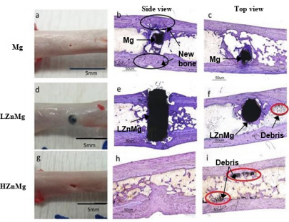 biomedres-openaccess-journal-bjstr