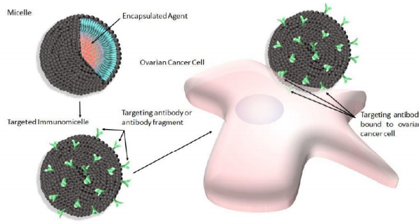 biomedres-openaccess-journal-bjstr