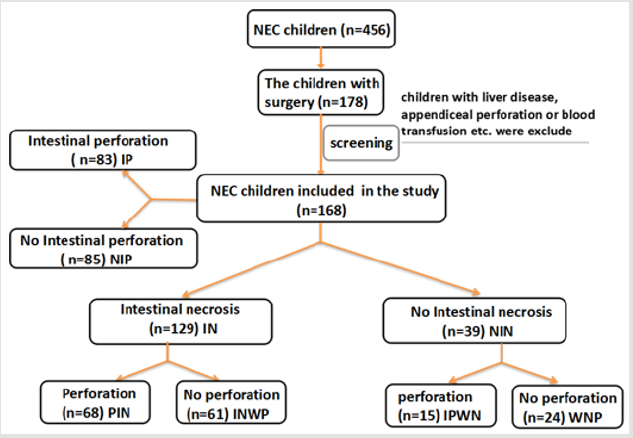 biomedres-openaccess-journal-bjstr