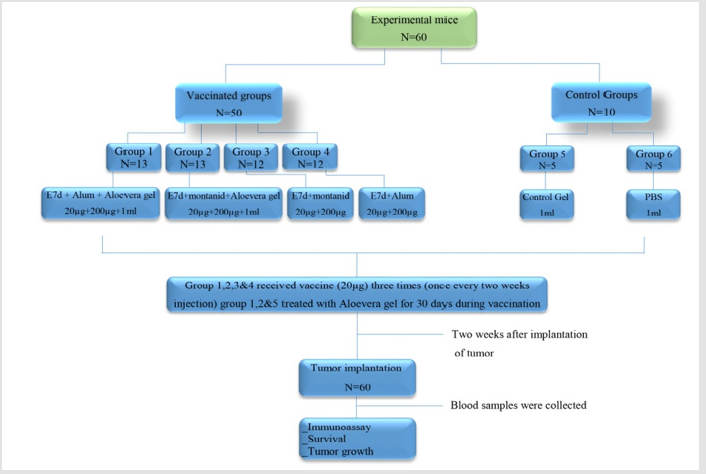 biomedres-openaccess-journal-bjstr