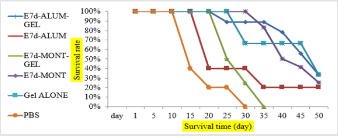 biomedres-openaccess-journal-bjstr