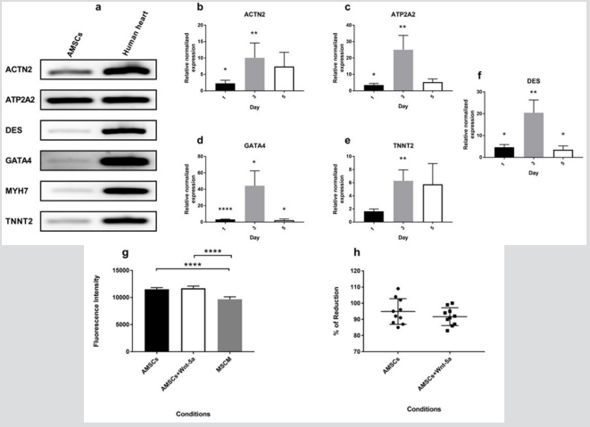 biomedres-openaccess-journal-bjstr