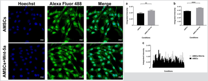 biomedres-openaccess-journal-bjstr