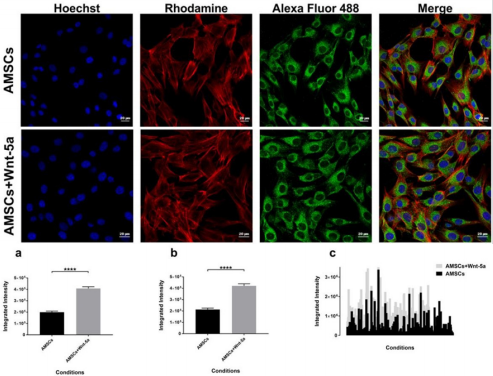 biomedres-openaccess-journal-bjstr