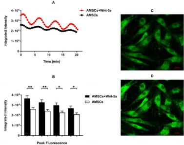 biomedres-openaccess-journal-bjstr