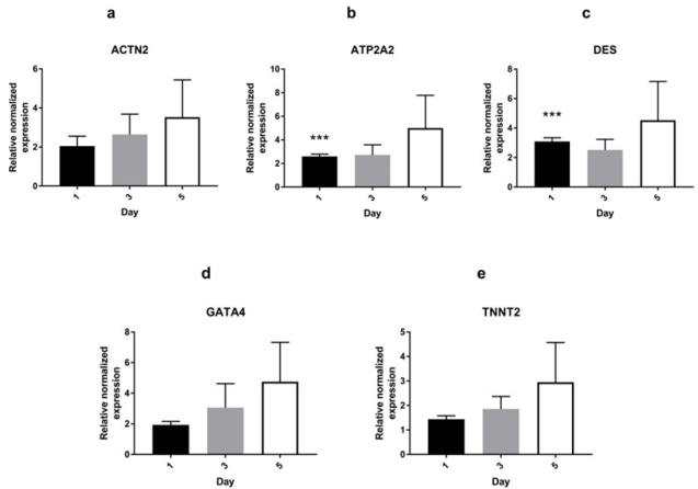 biomedres-openaccess-journal-bjstr