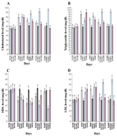 biomedres-openaccess-journal-bjstr