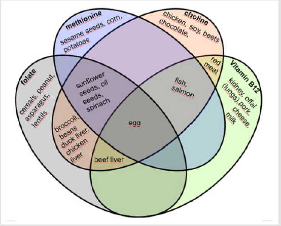 biomedres-openaccess-journal-bjstr