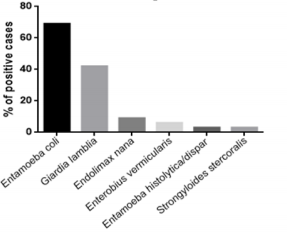 biomedres-openaccess-journal-bjstr