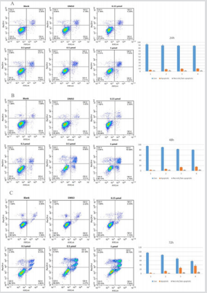 biomedres-openaccess-journal-bjstr