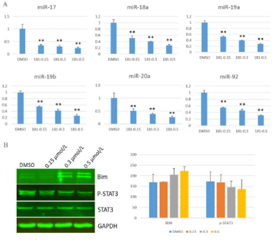 biomedres-openaccess-journal-bjstr