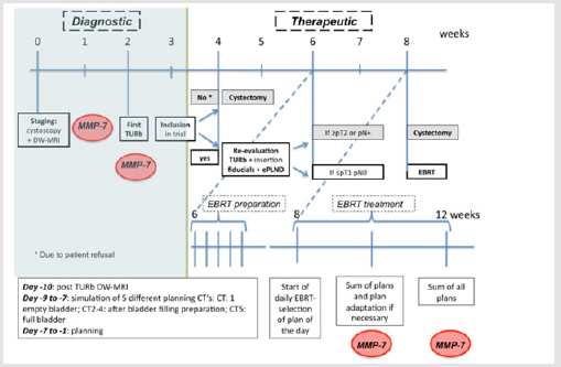 biomedres-openaccess-journal-bjstr