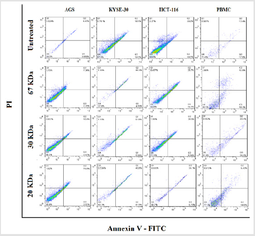 biomedres-openaccess-journal-bjstr