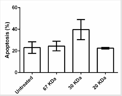 biomedres-openaccess-journal-bjstr