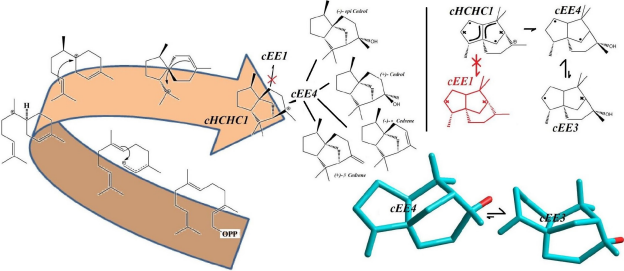 biomedres-openaccess-journal-bjstr