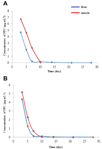biomedres-openaccess-journal-bjstr