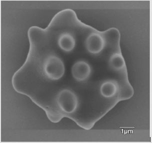 biomedres-openaccess-journal-bjstr