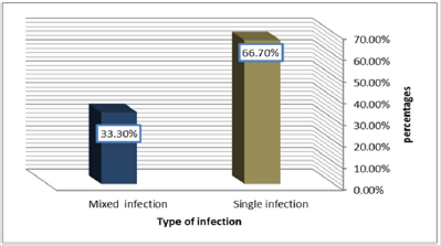 biomedres-openaccess-journal-bjstr