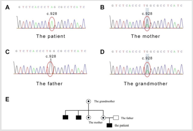 biomedres-openaccess-journal-bjstr