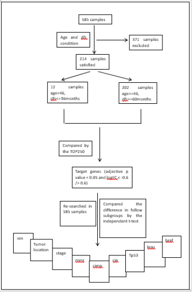 biomedres-openaccess-journal-bjstr