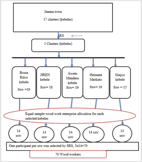 biomedres-openaccess-journal-bjstr