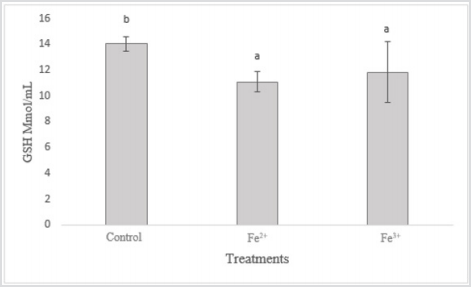 biomedres-openaccess-journal-bjstr