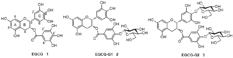 biomedres-openaccess-journal-bjstr