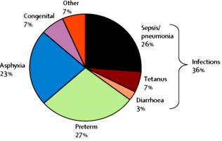 biomedres-openaccess-journal-bjstr
