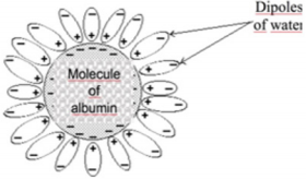 biomedres-openaccess-journal-bjstr