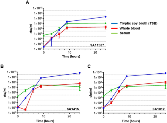biomedres-openaccess-journal-bjstr