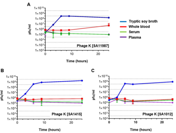 biomedres-openaccess-journal-bjstr