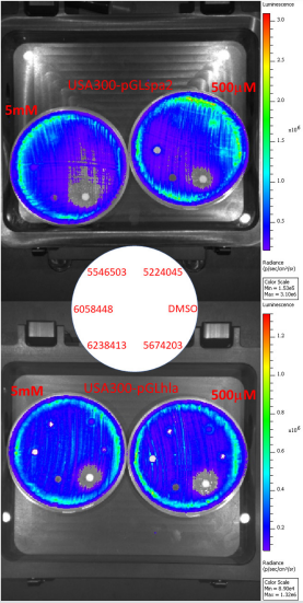 biomedres-openaccess-journal-bjstr