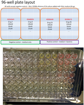 biomedres-openaccess-journal-bjstr