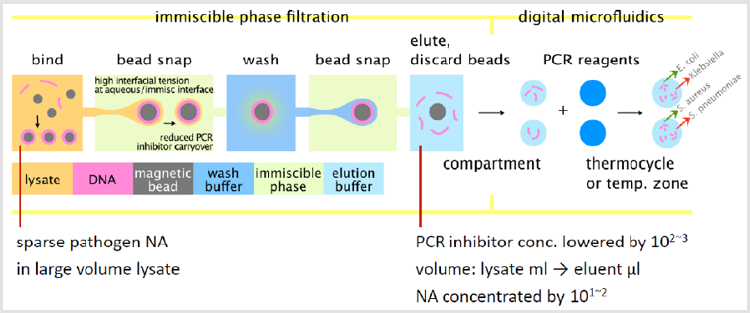 biomedres-openaccess-journal-bjstr