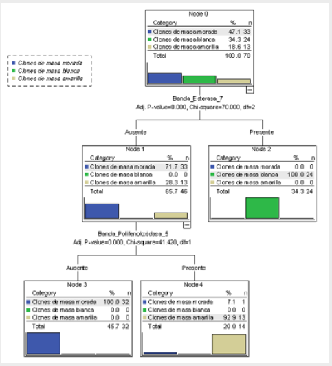 biomedres-openaccess-journal-bjstr