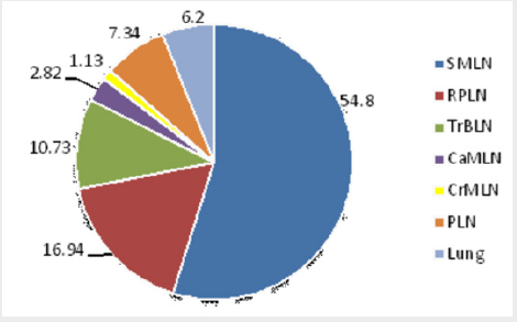 biomedres-openaccess-journal-bjstr