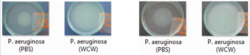 biomedres-openaccess-journal-bjstr