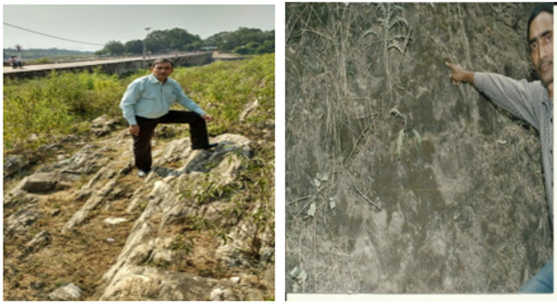 biomedres-openaccess-journal-bjstr