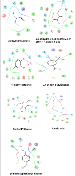 biomedres-openaccess-journal-bjstr
